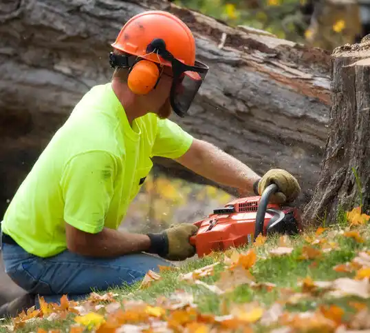 tree services Huber Ridge